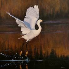 Charger l'image dans la galerie, 26461 - Réflections matinales - MARIE-CLAUDE COURTEAU - 40"X40"