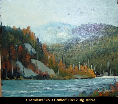 10293 - Rivière Jacques-Cartier - YVON LEMIEUX - 10
