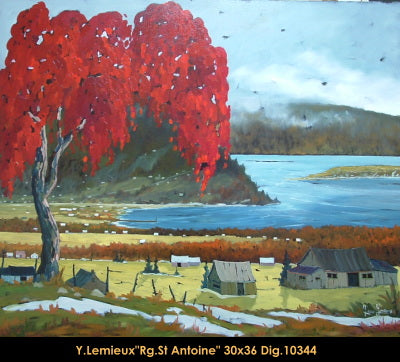 10344 - Rang St-Antoine - 30x36 - Yvon Lemieux