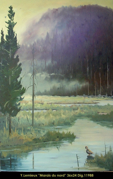 11988 - Marais du nord - 36x24 - Yvon Lemieux