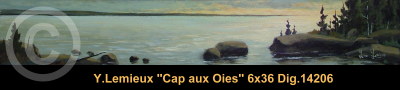 14206 - Cap aux Oies - 6x36 - Yvon Lemieux
