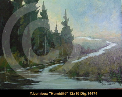 14474 - Humidité -  YVON LEMIEUX - 12