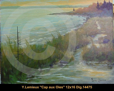 14475 - Cap-Aux-Oies - YVON LEMIEUX -12