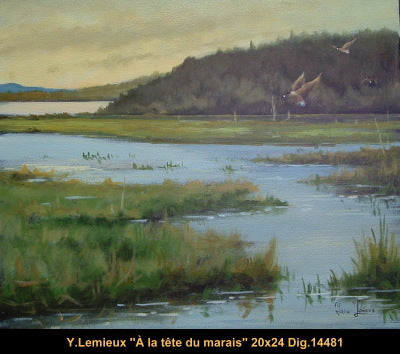 14481 - A la tête du marais - 20x24 - Yvon Lemieux