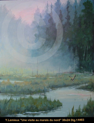 14483 - Une visite au marais du nord - YVON LEMIEUX - 30