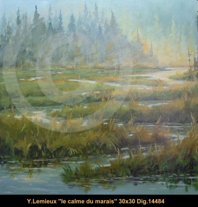14484 - Le calme du marais - 30x30 - Yvon Lemieux