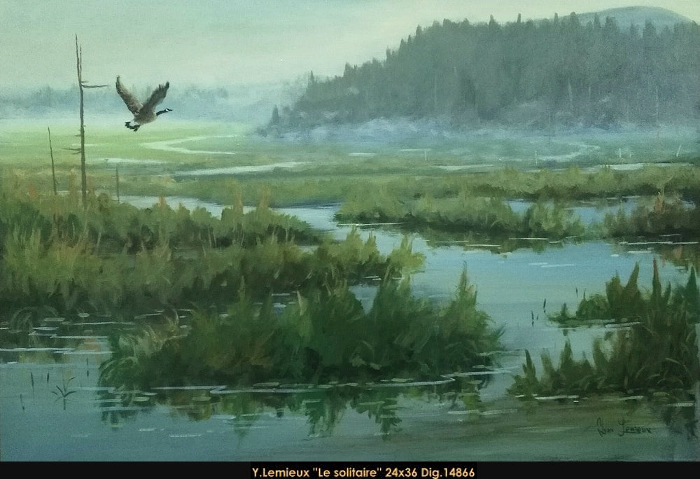 14866 - Le solitaire - YVON LEMIEUX  - 24