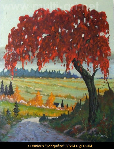 15504 - Jonquière - YVON LEMIEUX - 30