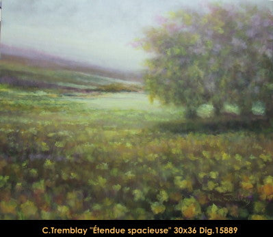 15889 - Étendue spacieuse - CLAUDE TREMBLAY - 30X36