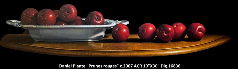16836 - Prunes rouges - DANIEL PLANTE 10