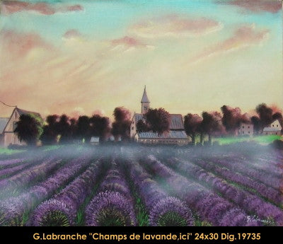 19735 - LABRANCHE Gilles - Champs de lavande  - 24 x 30