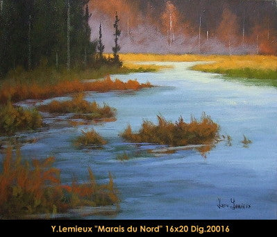 20016 - MArais du Nord - YVON LEMIEUX - 16