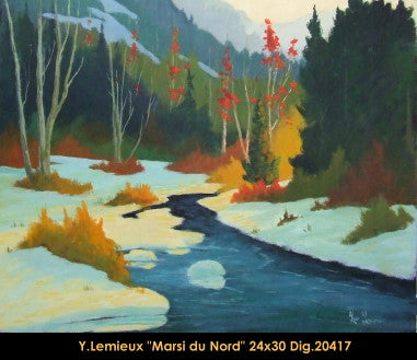 20417 - Marais du Nord - YVON LEMIEUX - 24