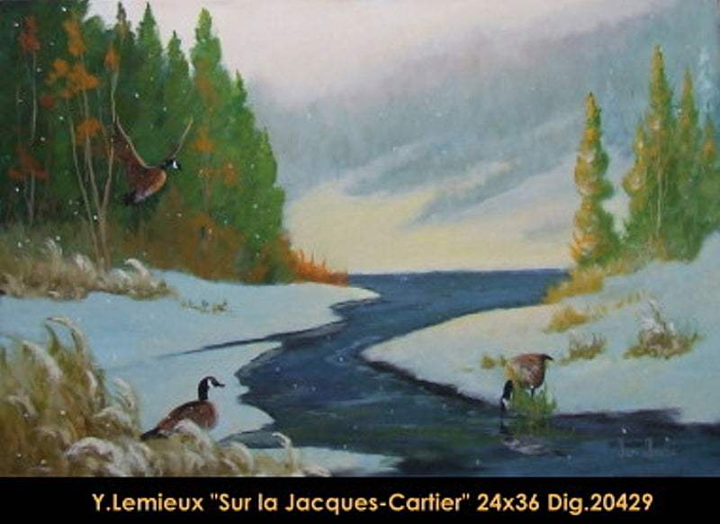 20429 - Sur la Jacques-Cartier - YVON LEMIEUX - 24