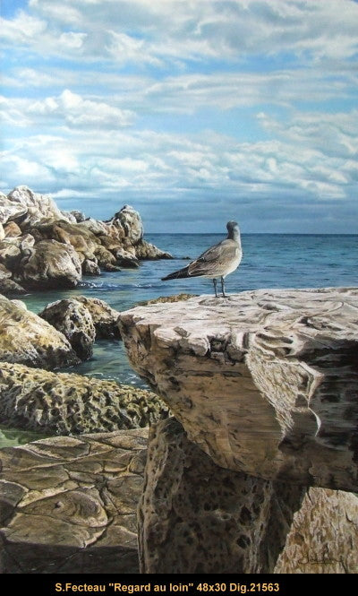 21563 - FECTEAU Sarah - On the rocks - 48 x 30