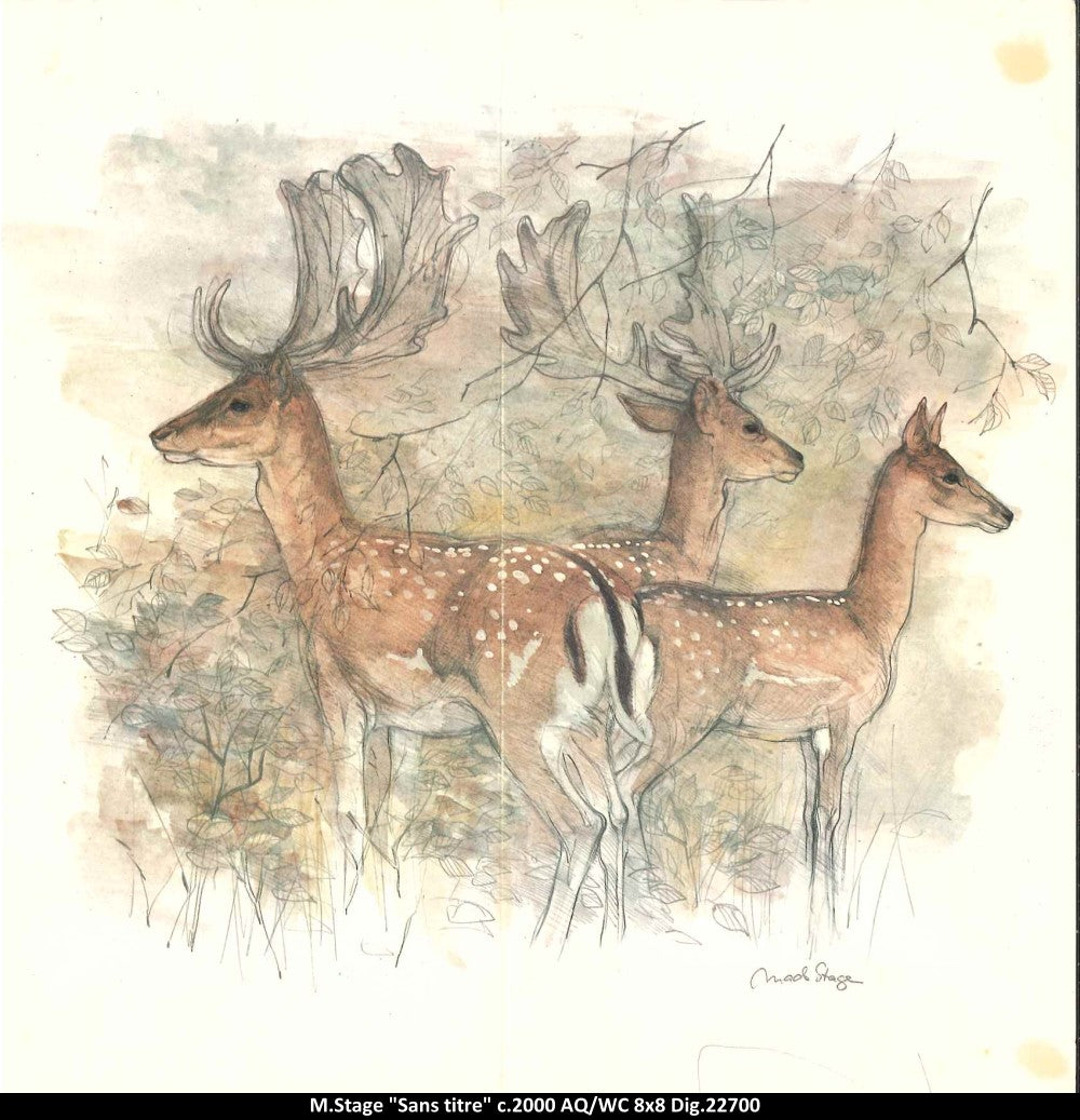 22700 - Trois chevreuills - M.Stage - 8