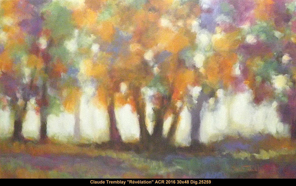 25259 - Révélation - CLAUDE TREMBLAY - 30X48