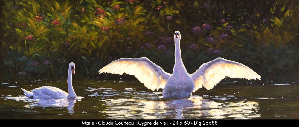 25688 - Cygne de vie - NARIE-CLAUDE COURTEAU - 24