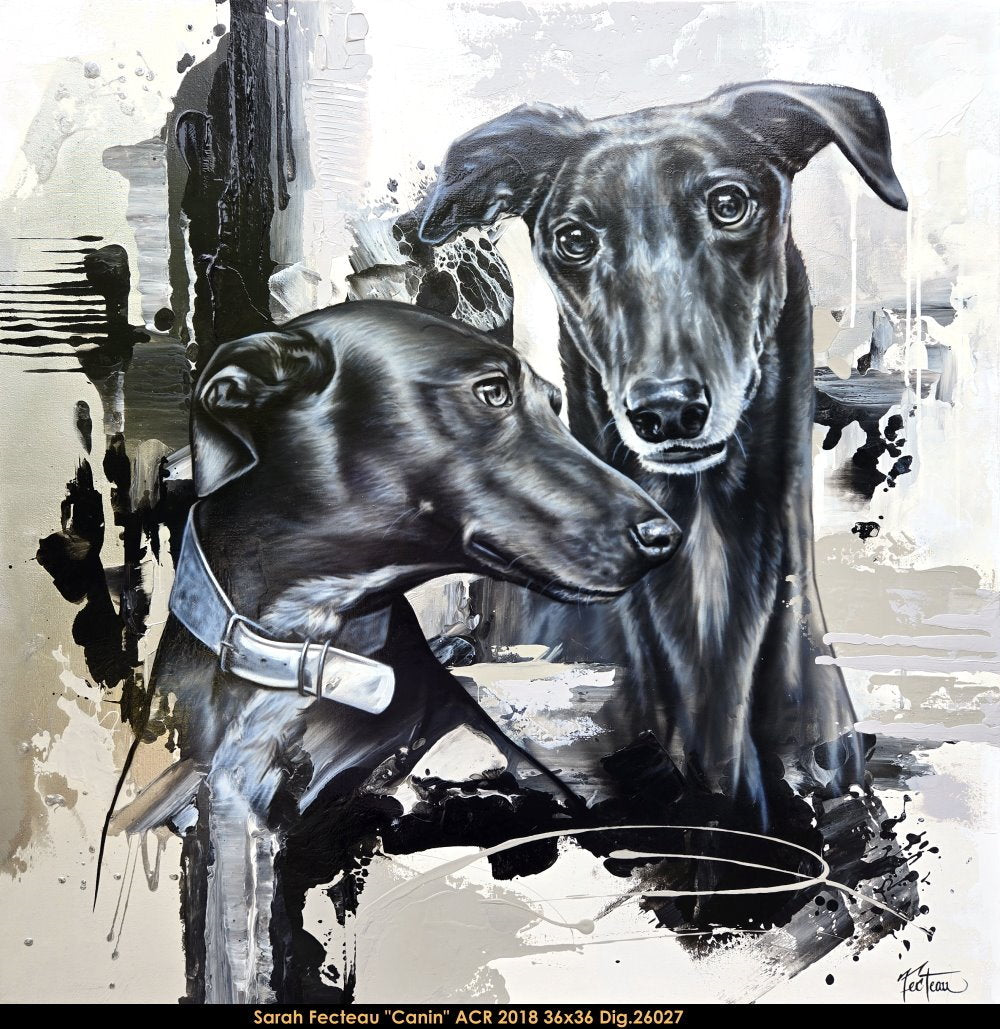 26027 - Canin - SARAH FECTEAU - 36