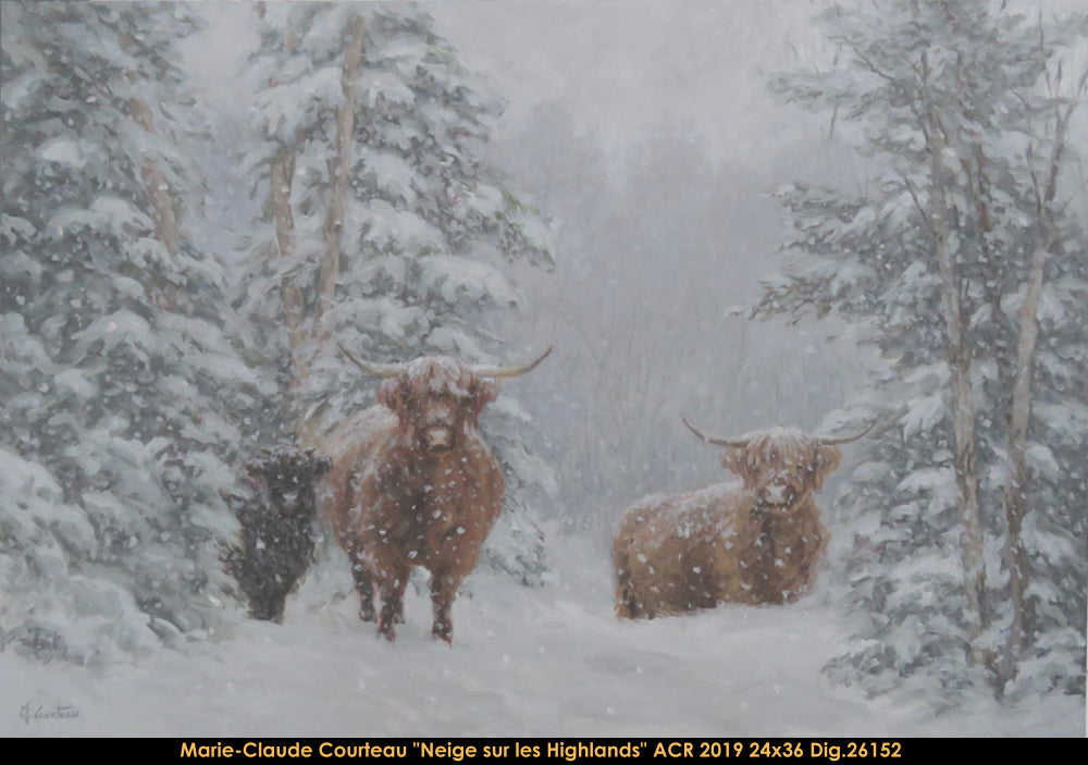 26152 - Neige sur les Highlands - M.C.COURTEAU - 24x36