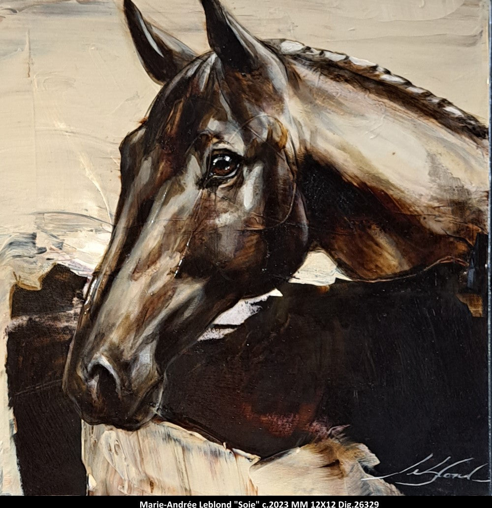 26329 - Soie - MARIE ANDREE LEBLOND - 12X12