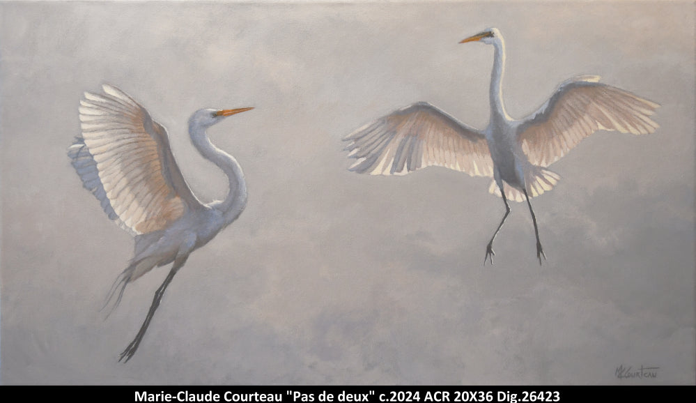 26423 - Pas de deux - MARIE CLAUDE COURTEAU - 20