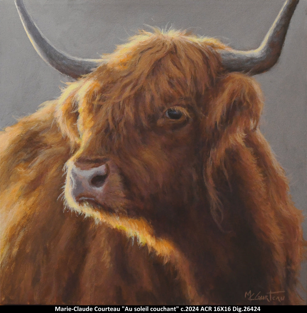 26424 - Au soleil couchant - MARIE-CLAUDE COURTEAU - 16