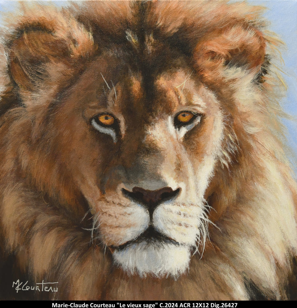 26427 - Le vieux sage - M.C.COURTEAU - 12