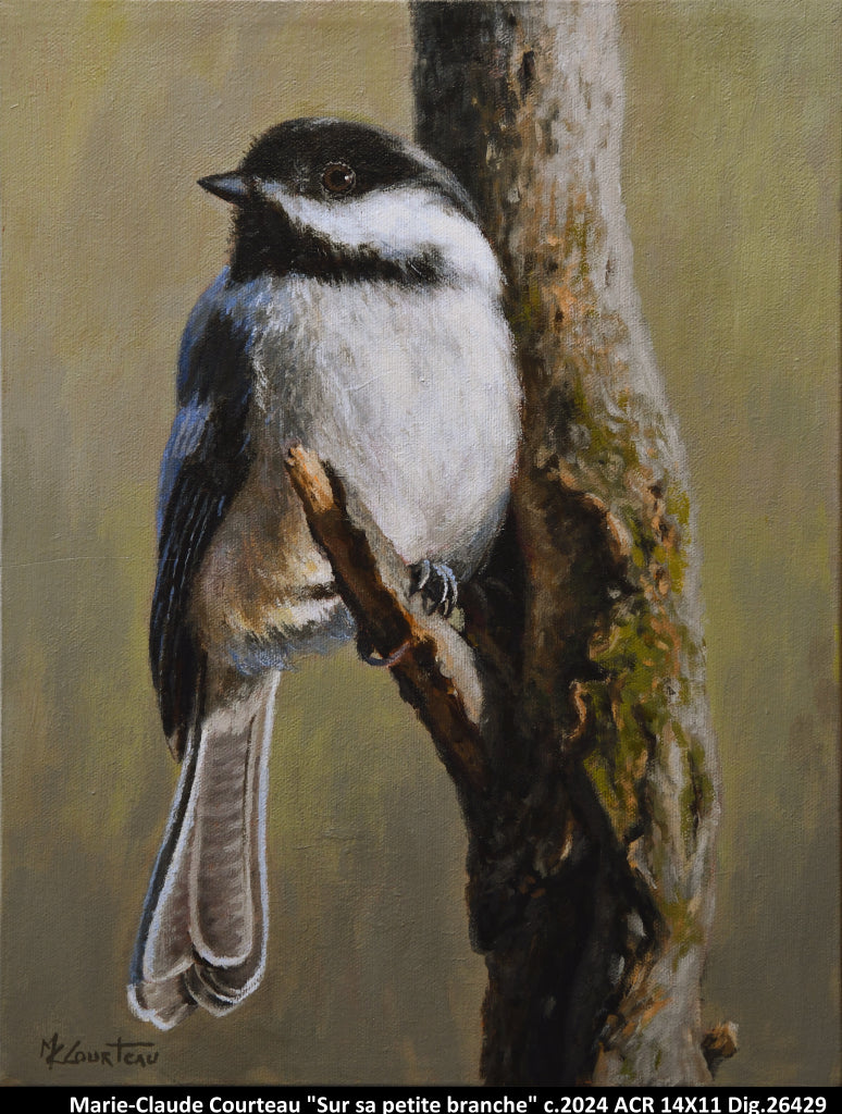 26429 - Sur sa petite branche - M.C.COURTEAU - 14