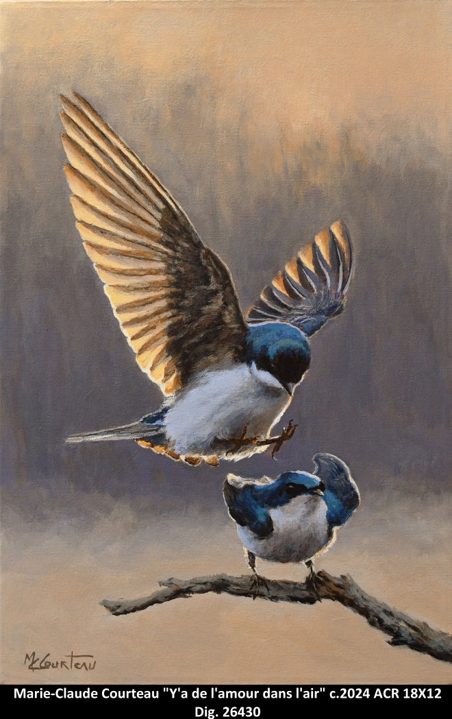 26430 - Y'a de l'amour dans l'air - MARIE-CLAUDE COURTEAU - 18