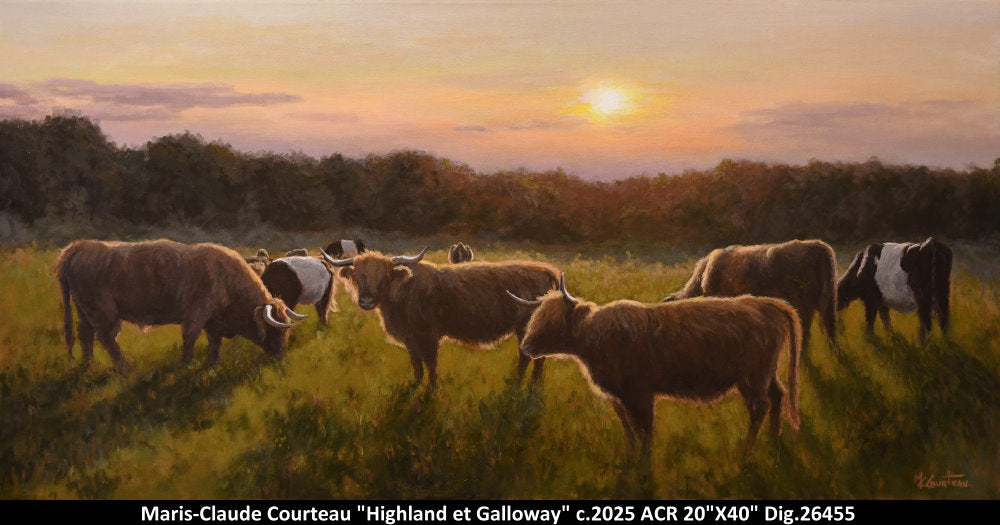 26455 - Highland et Galloway - M.C.COURTEAU - 20