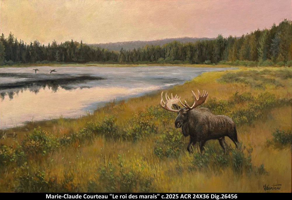 26456 - Le roi des marais - M.C.COURTEAU - 24