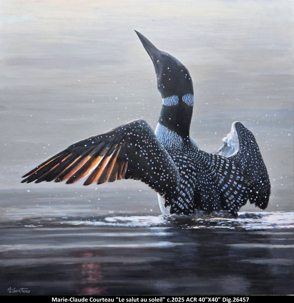 26457 - Le salut au soleil - MARIE CLAUDE COURTEAU - 40