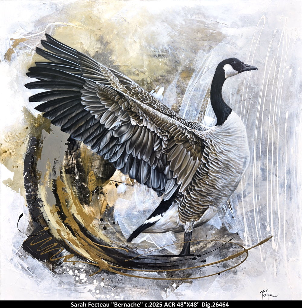 26464 - Bernache - SARAH FECTEAU - 48