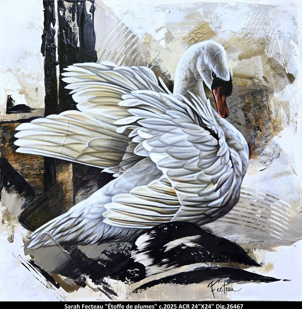 26467 - Étoffe de plumes - SARA FECTEAU - 24