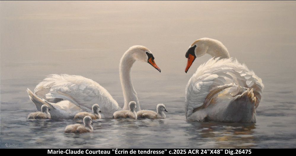 26475 - Écrin de tendresse - MARIE CLAUDE COURTEAU - 24