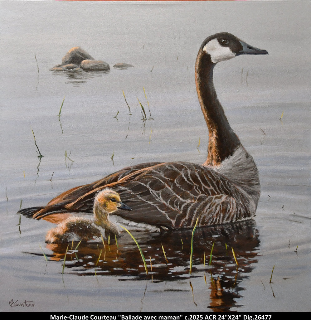 26477 - Ballade avec maman - M