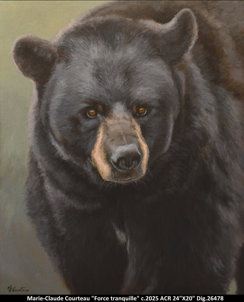 26478 - Force tranquille - M.C.COURTEAU -  20