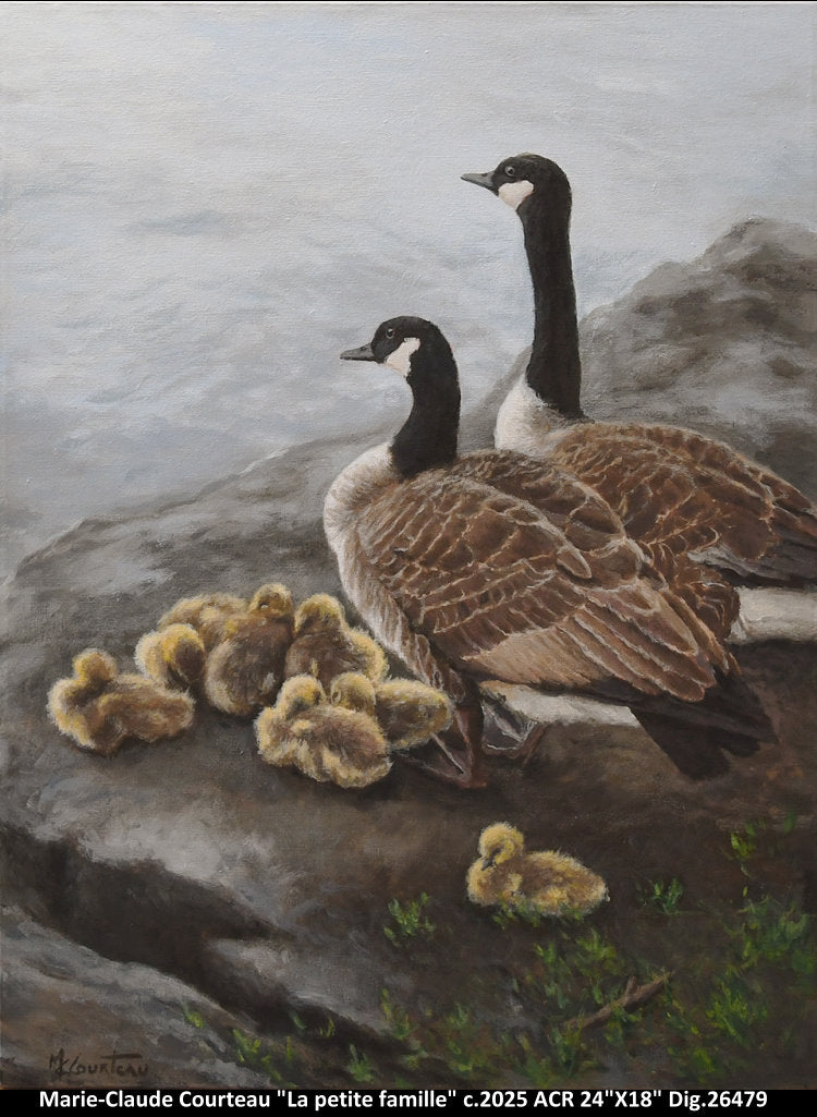 26479 - La petite famille - M.C.COURTEAU - 18