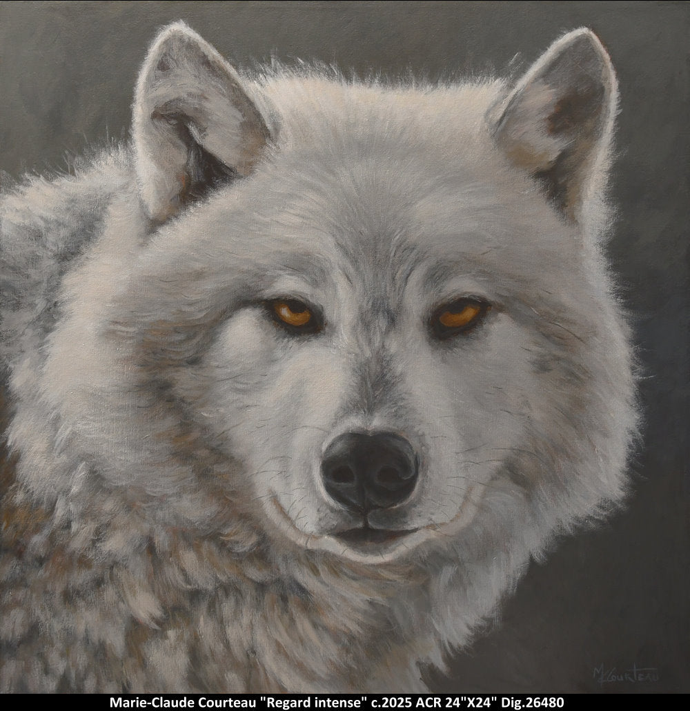 26480 - Regard intense - M.C.COURTEAU - 24