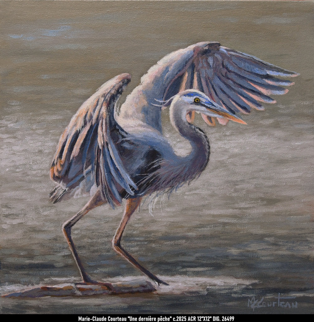 26499 - Une dernière pêche - MARIE CLAUDE COURTEAU - 12