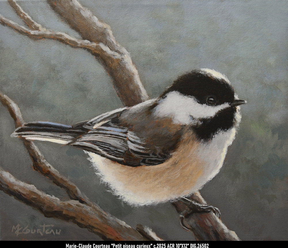 26502 - Petit oiseau curieux - MARIE CLAUDE COURTEAU - 10