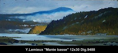 9488 - Marée Basse - 12x30 - Yvon Lemieux