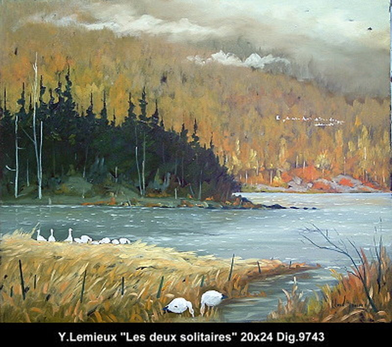 9743 - Les deux solitaires - YVON LEMIEUX - 20