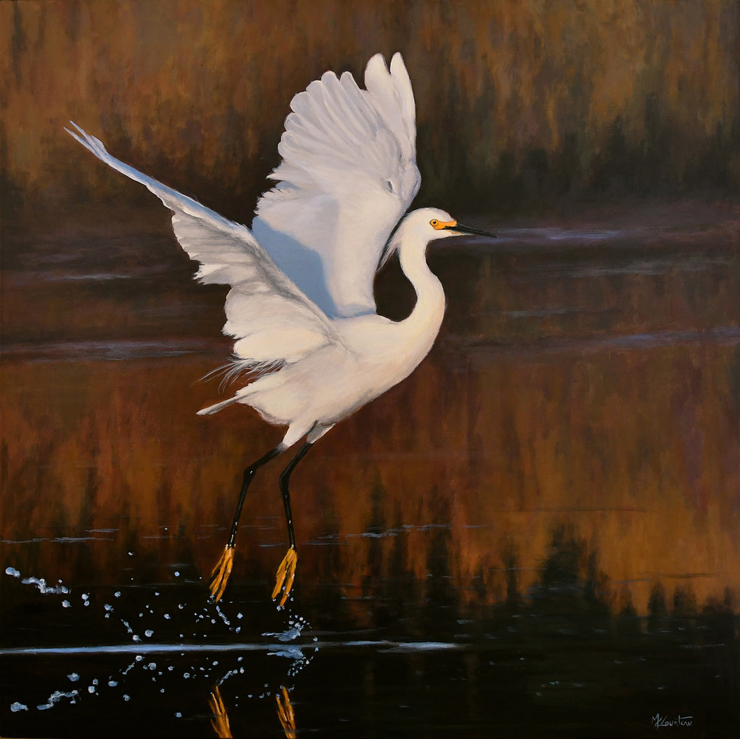 26461 - Réflections matinales - MARIE-CLAUDE COURTEAU - 40