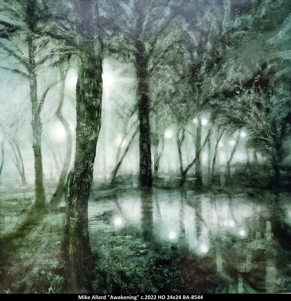 BA8544 - Awakening - MIKE ALLARD - 24