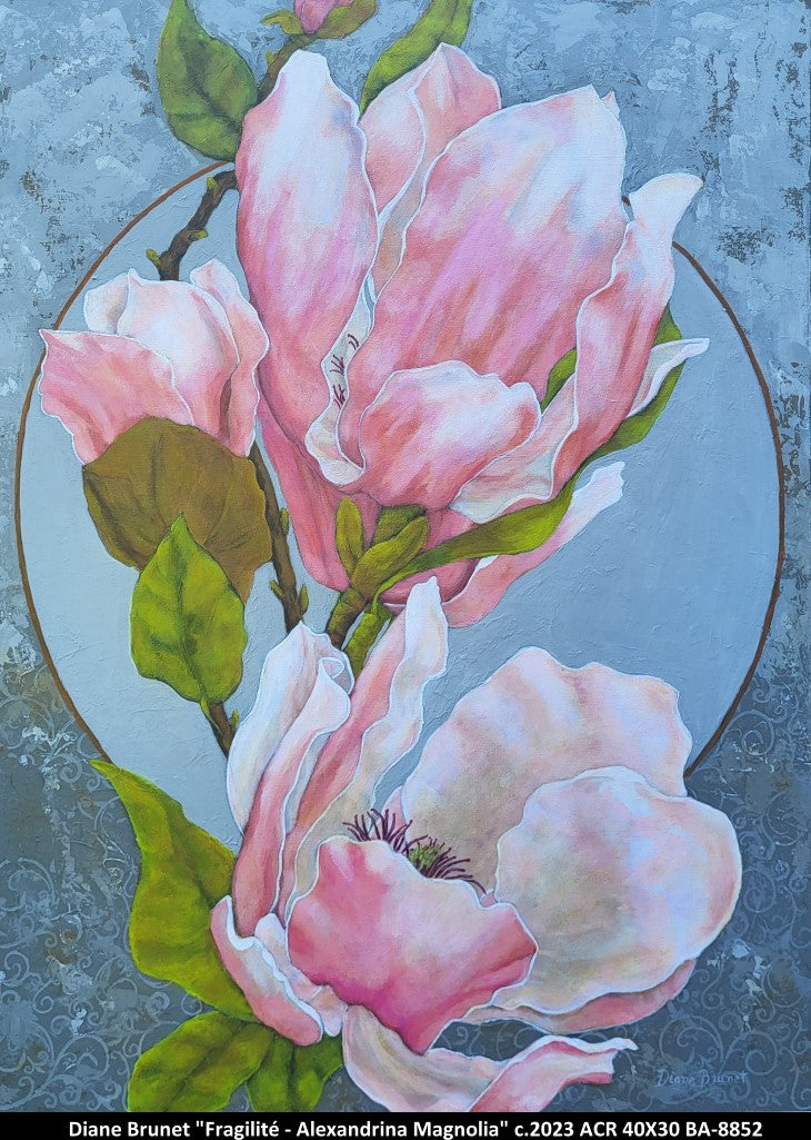 BA8852 - Fragilité - Alexandrina Magnolia - DIANE BRUNET - 40X30