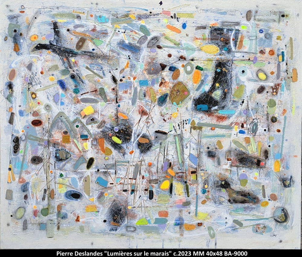 BA9000 - Lumieres sur les marais - PIERRE DESLANDES - 40X48