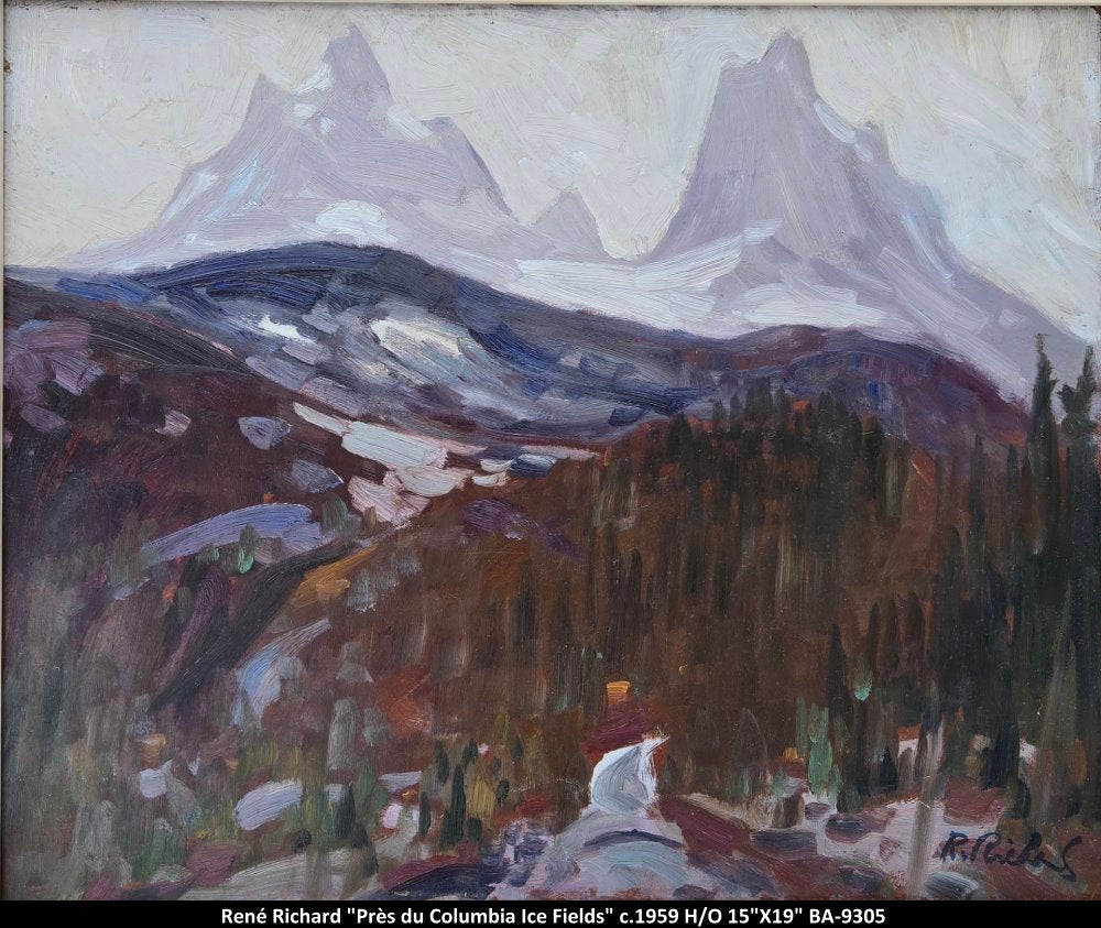 BA9305 - Près du Columbia Ice Fields