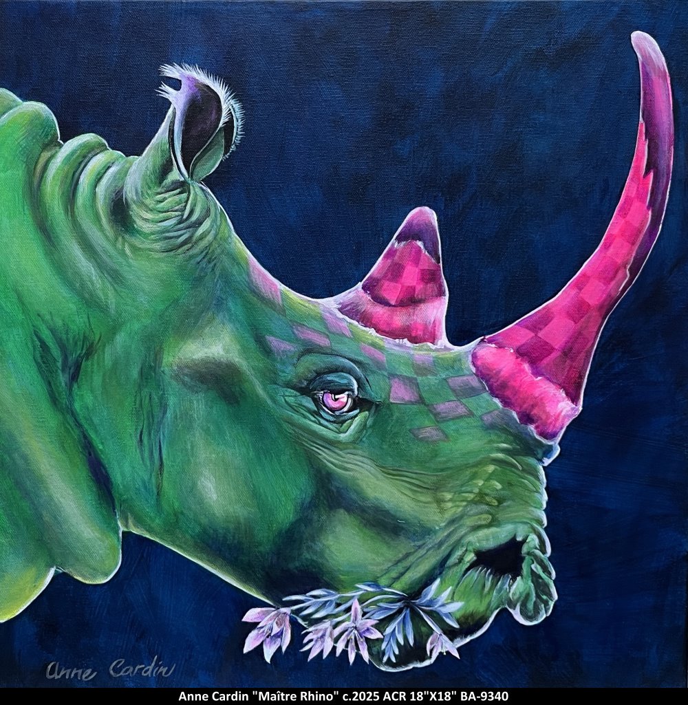 BA9340 - Maître Rhino - ANNE CARDIN - 18